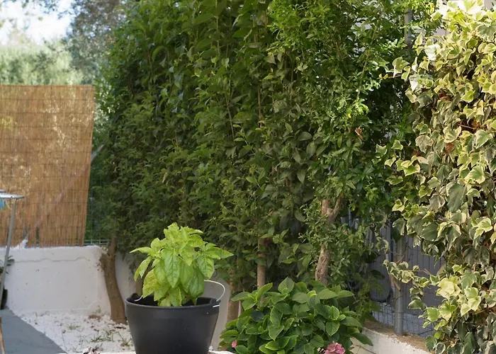 Rodi House Hébergement de vacances *